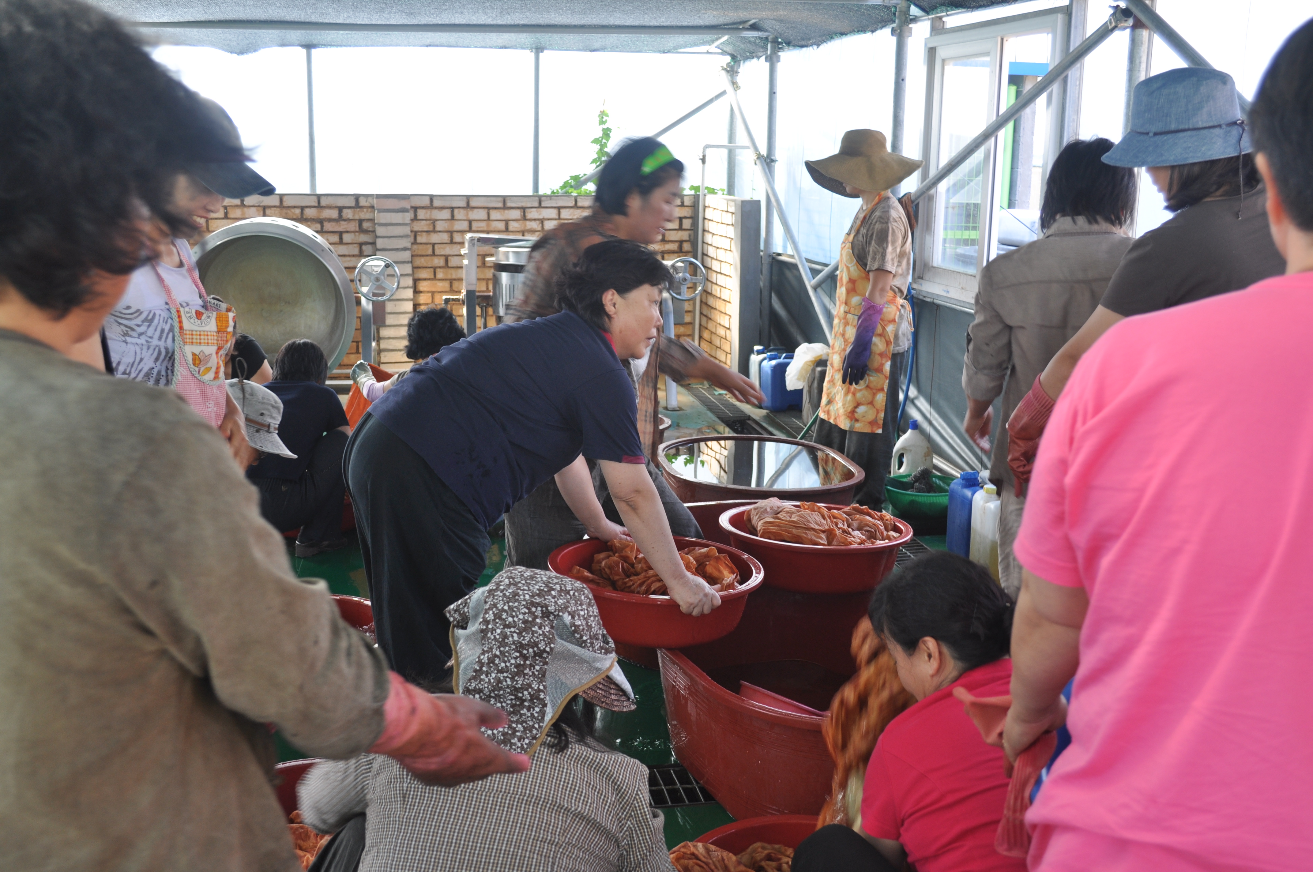 천연염색 기술교육(6회차, 복합염색)